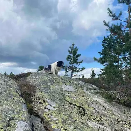 Blefjell Med Fantastisk Utsikt *